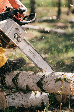 Chainsaw Training