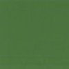 2.5Litre TiNkkin绿色涂料：在英国外面不可用