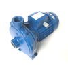 Bridgeport VMC 1HP冷却液泵- BP 21662789适用于许多VMC型号